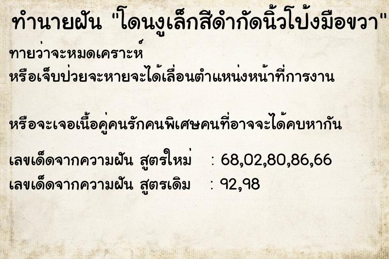 ทำนายฝันทำนายฝันโดนงูเล็กสีดำกัดนิ้วโป้งมือขวา