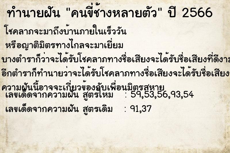 ทำนายฝันคนขี่ช้างหลายตัว ทำนายฝันทำนายฝันคนขี่ช้างหลายตัว