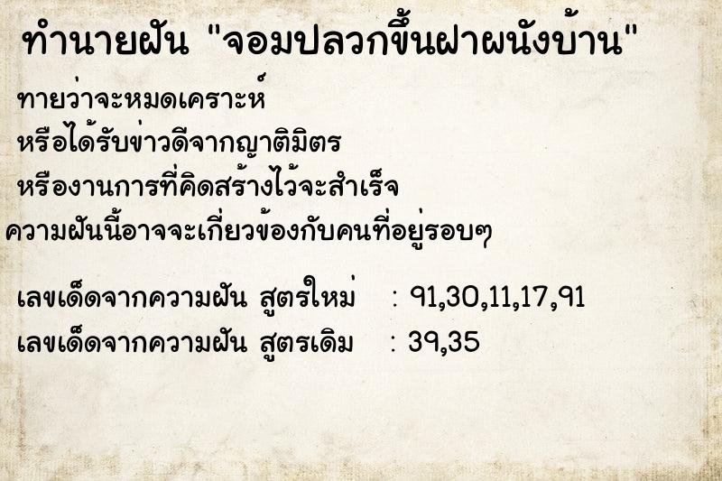 ทำนายฝันจอมปลวกขึ้นฝาผนังบ้าน ทำนายฝันทำนายฝันจอมปลวกขึ้นฝาผนังบ้าน