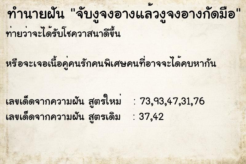 ทำนายฝัน จับงูจงอางแล้วงูจงอางกัดมือ ทำนายฝัน จับงูจงอางแล้วงูจงอางกัดมือ