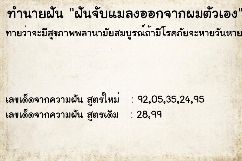 ทำนายฝันฝันจับแมลงออกจากผมตัวเอง ทำนายฝันทำนายฝันฝันจับแมลงออกจากผมตัวเอง