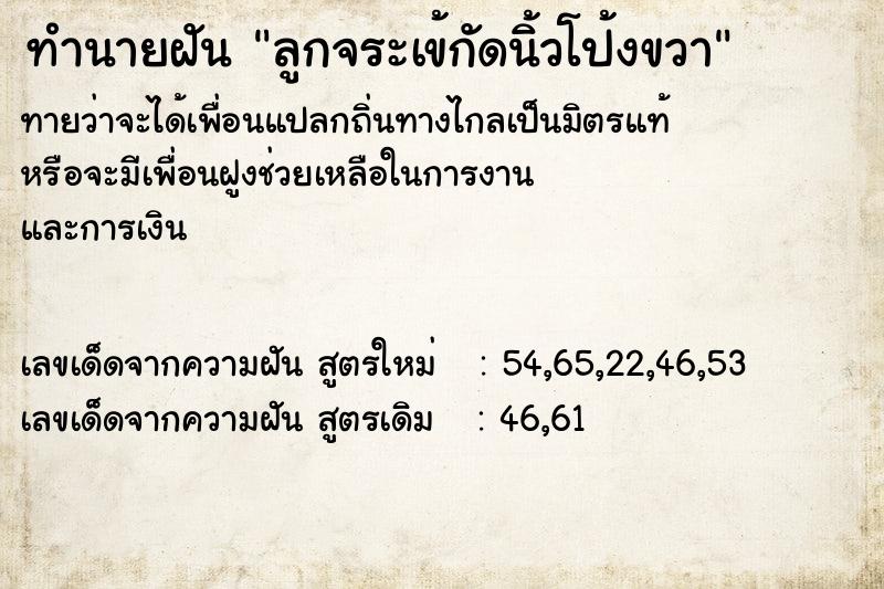 ทำนายฝันลูกจระเข้กัดนิ้วโป้งขวา ทำนายฝันทำนายฝันลูกจระเข้กัดนิ้วโป้งขวา