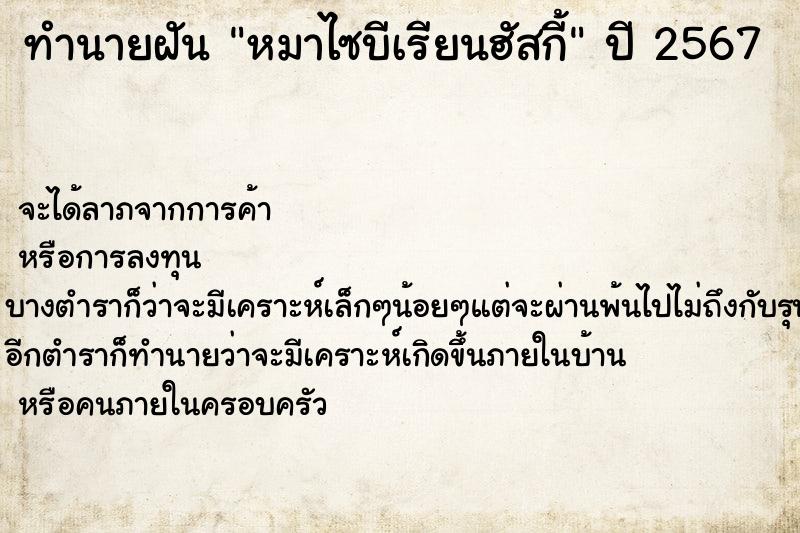 ทำนายฝันหมาไซบีเรียนฮัสกี้ ทำนายฝันทำนายฝันหมาไซบีเรียนฮัสกี้