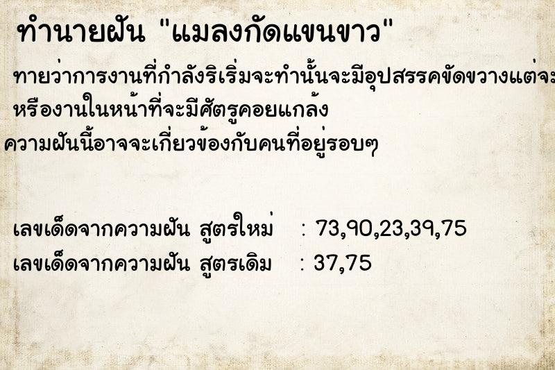 ทำนายฝันแมลงกัดแขนขาว ทำนายฝันทำนายฝันแมลงกัดแขนขาว
