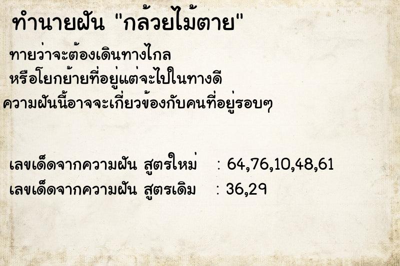 ทำนายฝันกล้วยไม้ตาย ทำนายฝันทำนายฝันกล้วยไม้ตาย