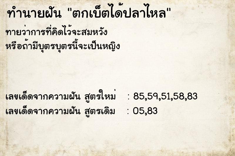 ทำนายฝันทำนายฝันตกเบ็ตได้ปลาไหล