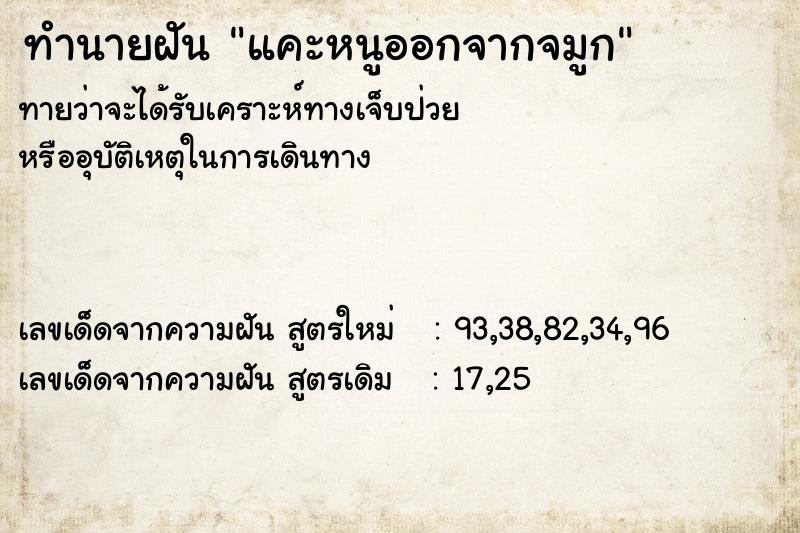 ทำนายฝัน แคะหนูออกจากจมูก ทำนายฝัน แคะหนูออกจากจมูก