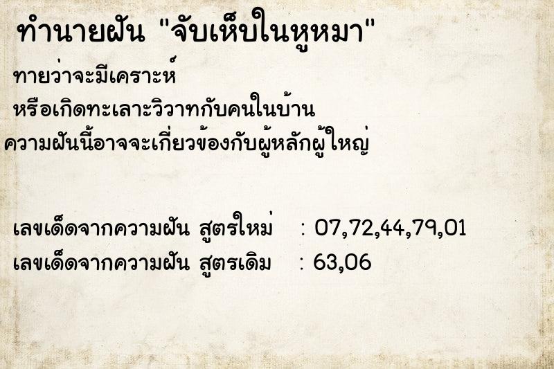 ทำนายฝันทำนายฝันจับเห็บในหูหมา