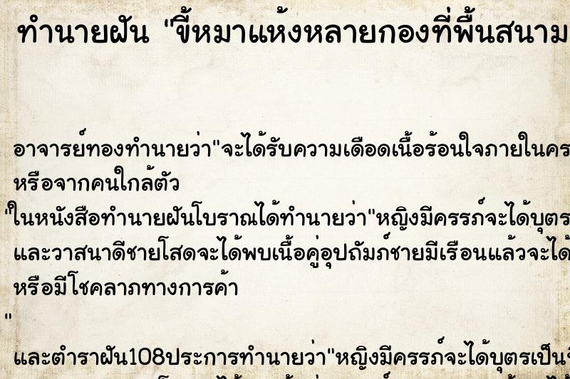 ทำนายฝัน ขี้หมาแห้งหลายกองที่พื้นสนาม