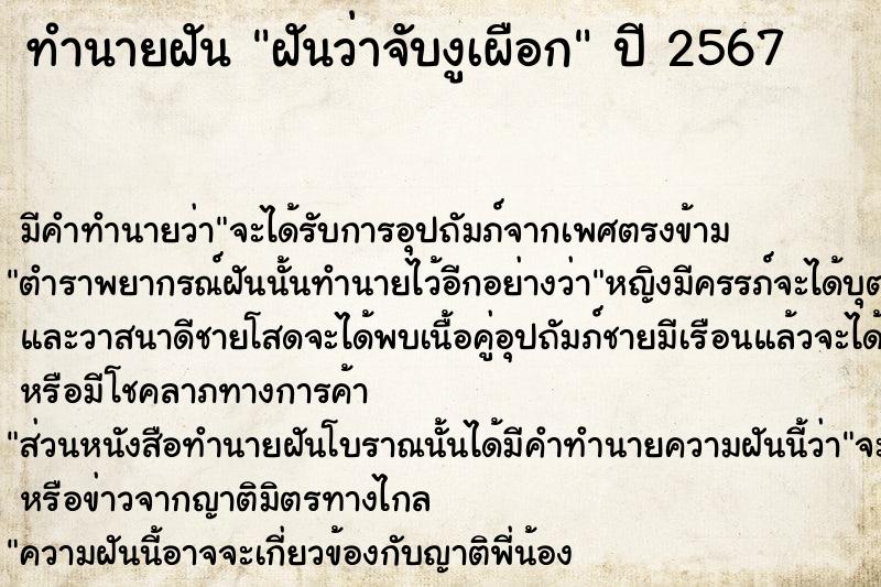 ทำนายฝันฝันว่าจับงูเผือก ทำนายฝันทำนายฝันฝันว่าจับงูเผือก