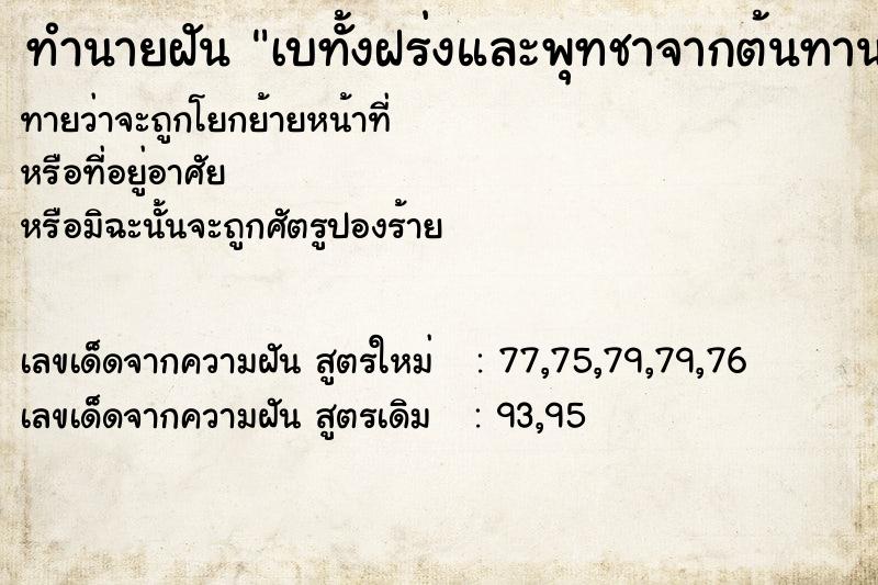 ทำนายฝันเบทั้งฝร่งและพุทชาจากต้นทาน ทำนายฝันทำนายฝันเบทั้งฝร่งและพุทชาจากต้นทาน