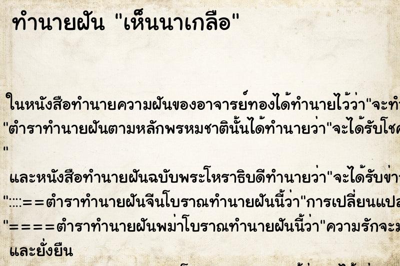 ทำนายฝัน เห็นนาเกลือ ทำนายฝัน เห็นนาเกลือ