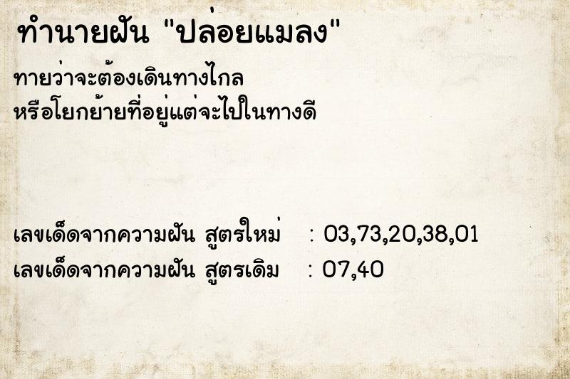 ทำนายฝันทำนายฝันปล่อยแมลง