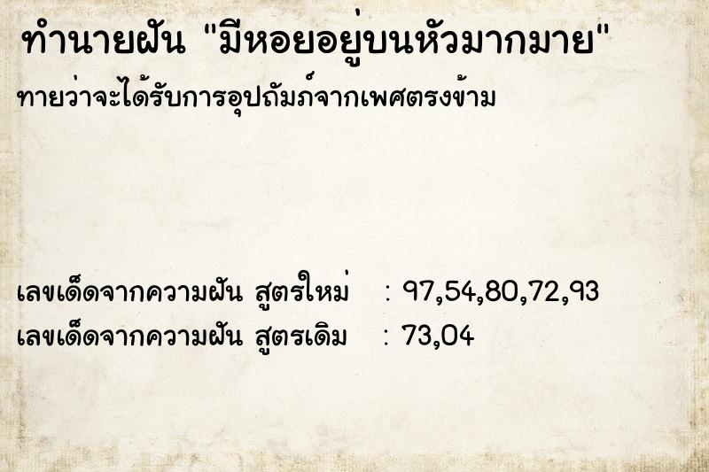 ทำนายฝันทำนายฝันมีหอยอยู่บนหัวมากมาย