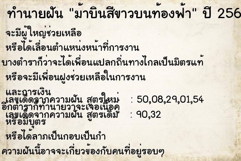 ทำนายฝัน ม้าบินสีขาวบนท้องฟ้า แม่นๆ ฟรี ด้วยตำราหนังสือทำนายฝันโบราณ ทำนายฝันม้าบินสีขาวบนท้องฟ้า