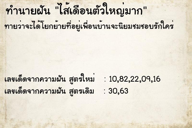 ทำนายฝันไส้เดือนตัวใหญ่มาก ทำนายฝันทำนายฝันไส้เดือนตัวใหญ่มาก