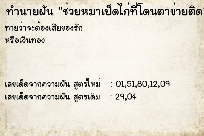 ทำนายฝันช่วยหมาเป็ดไก่ที่โดนตาข่ายติด ทำนายฝันทำนายฝันช่วยหมาเป็ดไก่ที่โดนตาข่ายติด