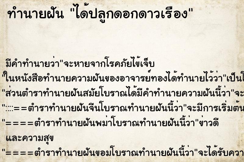 ทำนายฝันทำนายฝันได้ปลูกดอกดาวเรือง