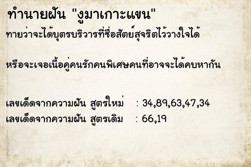 ทำนายฝันทำนายฝันงูมาเกาะแขน