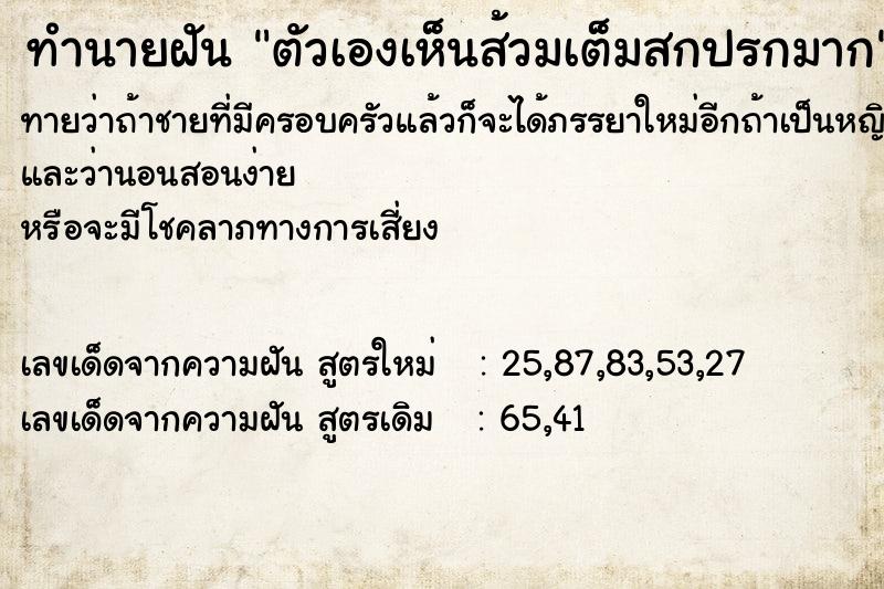 ทำนายฝันทำนายฝันตัวเองเห็นส้วมเต็มสกปรกมาก