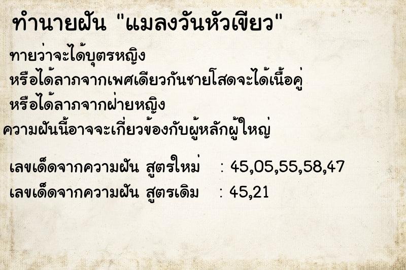 ทำนายฝัน แมลงวันหัวเขียว ทำนายฝัน แมลงวันหัวเขียว