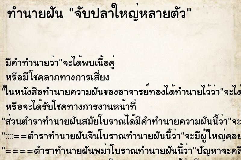 ทำนายฝันจับปลาใหญ่หลายตัว ทำนายฝันทำนายฝันจับปลาใหญ่หลายตัว
