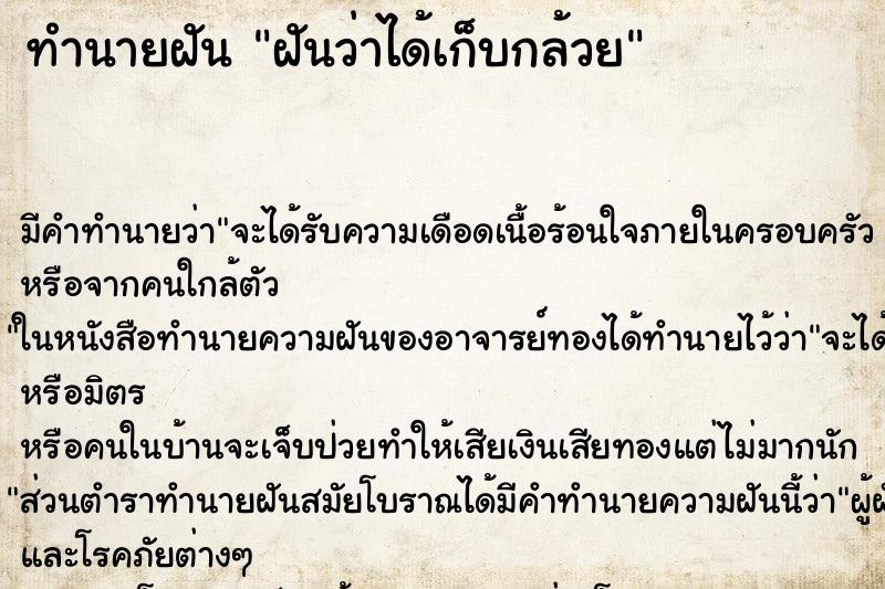 ทำนายฝัน ฝันว่าได้เก็บกล้วย ทำนายฝัน ฝันว่าได้เก็บกล้วย