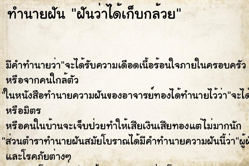 ทำนายฝัน ฝันว่าได้เก็บกล้วย ตำราโบราณ แม่นที่สุดในโลก