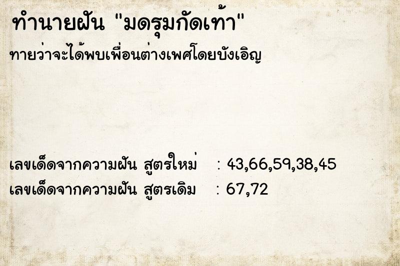 ทำนายฝันทำนายฝันมดรุมกัดเท้า