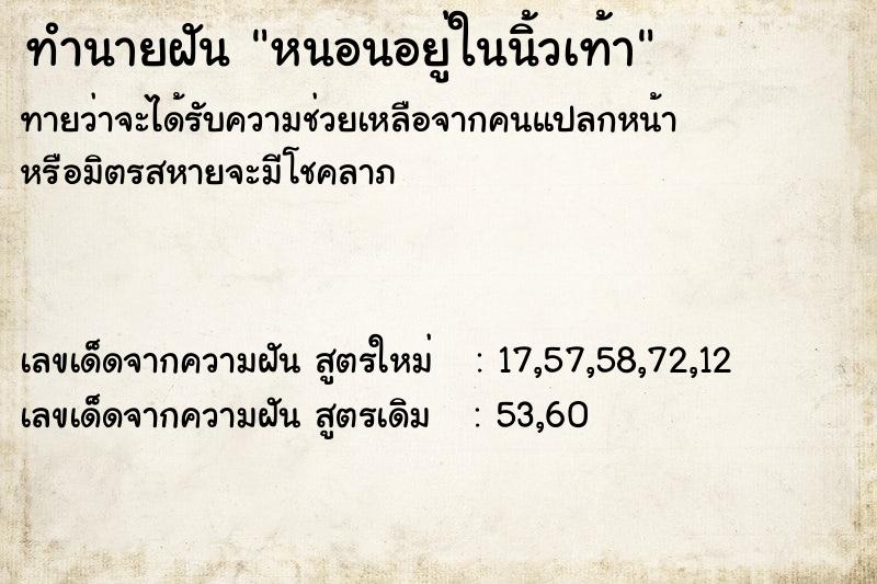 ทำนายฝันทำนายฝันหนอนอยู่ในนิ้วเท้า