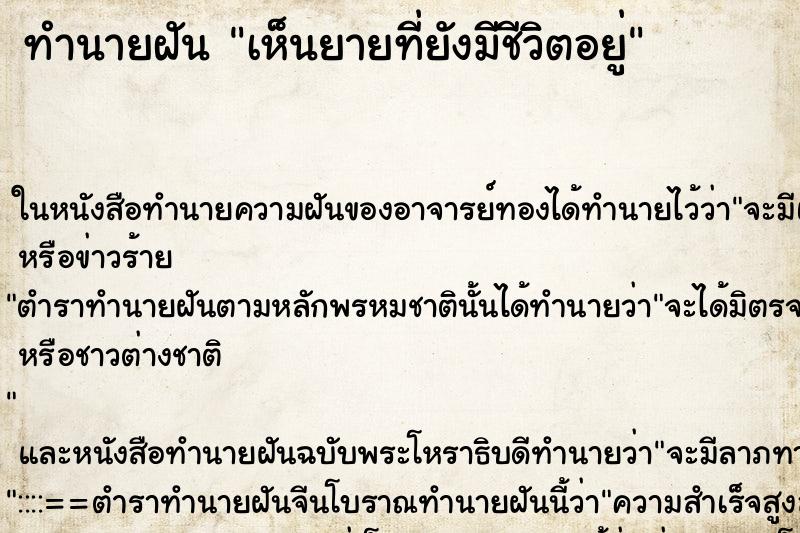 ทำนายฝัน เห็นยายที่ยังมีชีวิตอยู่ ทำนายฝัน เห็นยายที่ยังมีชีวิตอยู่