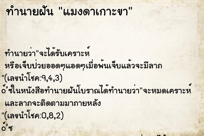 ทำนายฝัน แมงดาเกาะขา ทำนายฝัน แมงดาเกาะขา