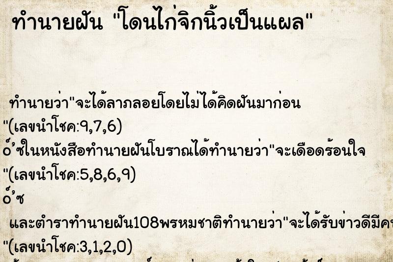 ทำนายฝัน โดนไก่จิกนิ้วเป็นแผล ตำราโบราณ แม่นที่สุดในโลก