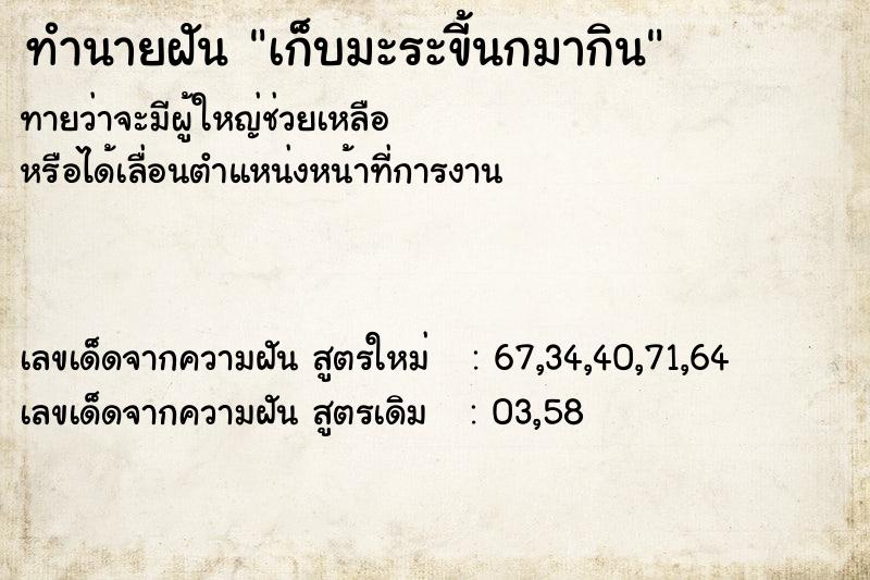 ทำนายฝันเก็บมะระขี้นกมากิน ทำนายฝันทำนายฝันเก็บมะระขี้นกมากิน