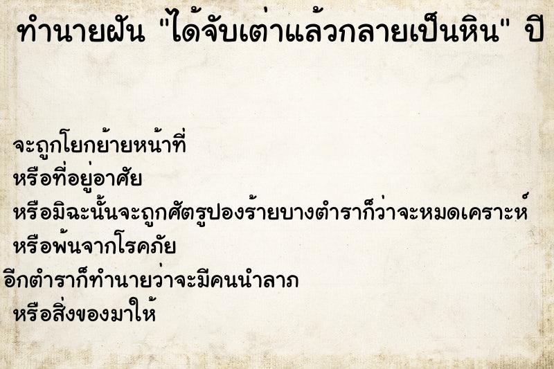 ทำนายฝันทำนายฝันได้จับเต่าแล้วกลายเป็นหิน