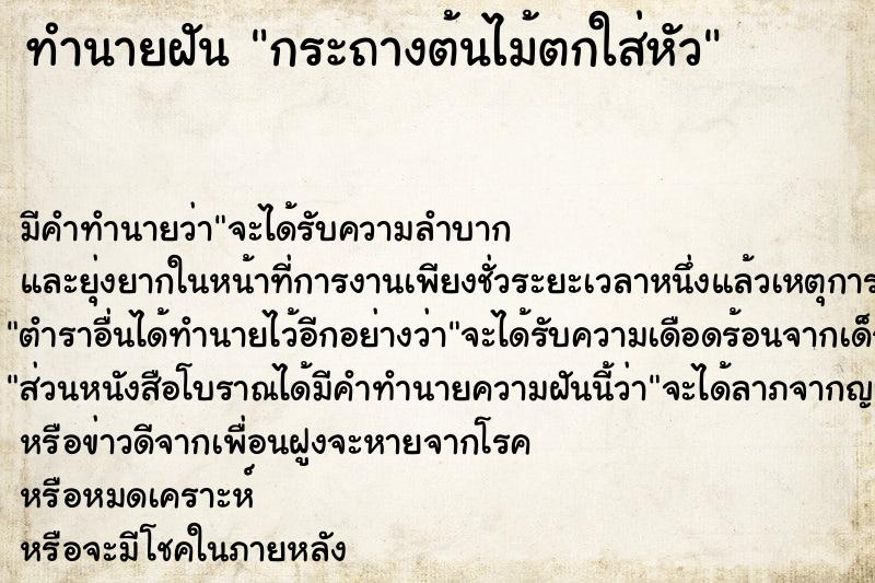 ทำนายฝัน กระถางต้นไม้ตกใส่หัว แม่นๆ ฟรี ด้วยตำราหนังสือทำนายฝันโบราณ ทำนายฝันกระถางต้นไม้ตกใส่หัว