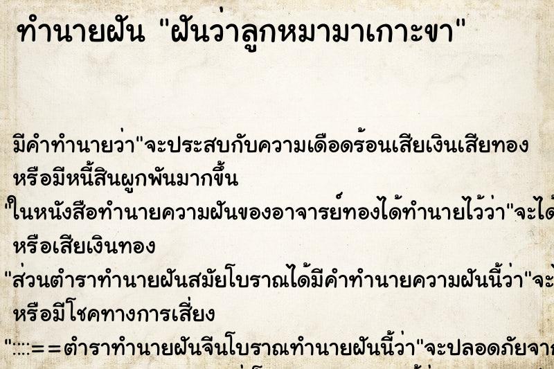 ทำนายฝันฝันว่าลูกหมามาเกาะขา ทำนายฝันทำนายฝันฝันว่าลูกหมามาเกาะขา