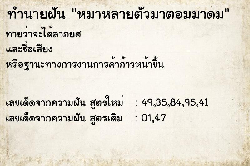 ทำนายฝันทำนายฝันหมาหลายตัวมาตอมมาดม