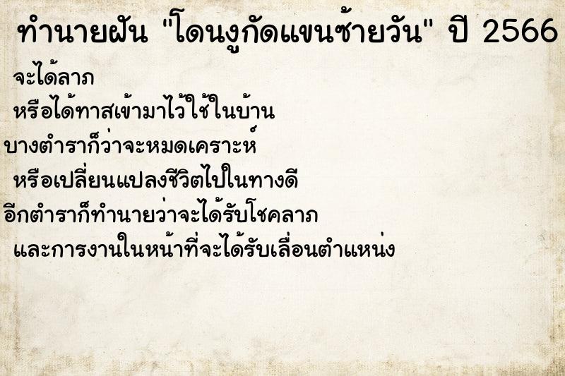 ทำนายฝันโดนงูกัดแขนซ้ายวัน ทำนายฝันทำนายฝันโดนงูกัดแขนซ้ายวัน