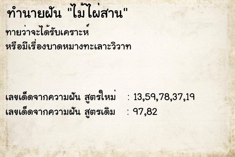 ทำนายฝันไม้ไผ่สาน ทำนายฝันทำนายฝันไม้ไผ่สาน