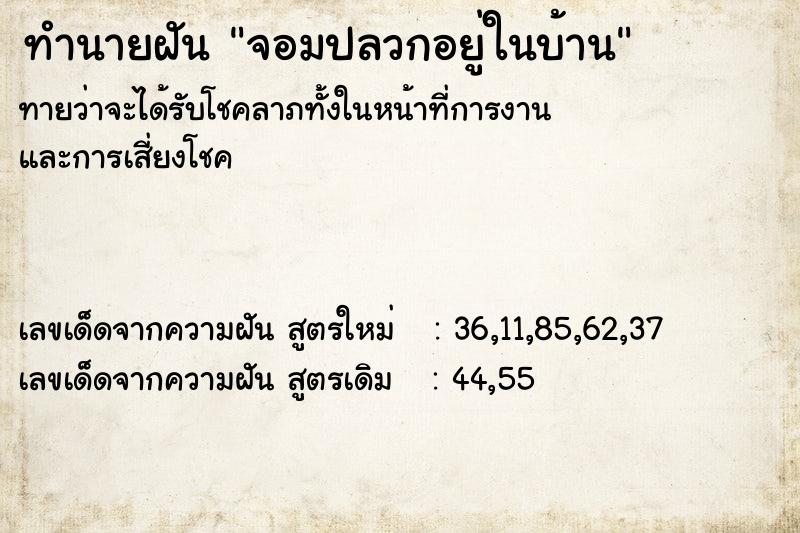 ทำนายฝัน จอมปลวกอยู่ในบ้าน ทำนายฝัน จอมปลวกอยู่ในบ้าน