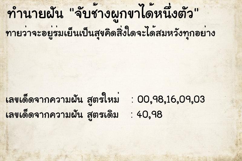 ทำนายฝันจับช้างผูกขาได้หนึ่งตัว ทำนายฝันทำนายฝันจับช้างผูกขาได้หนึ่งตัว