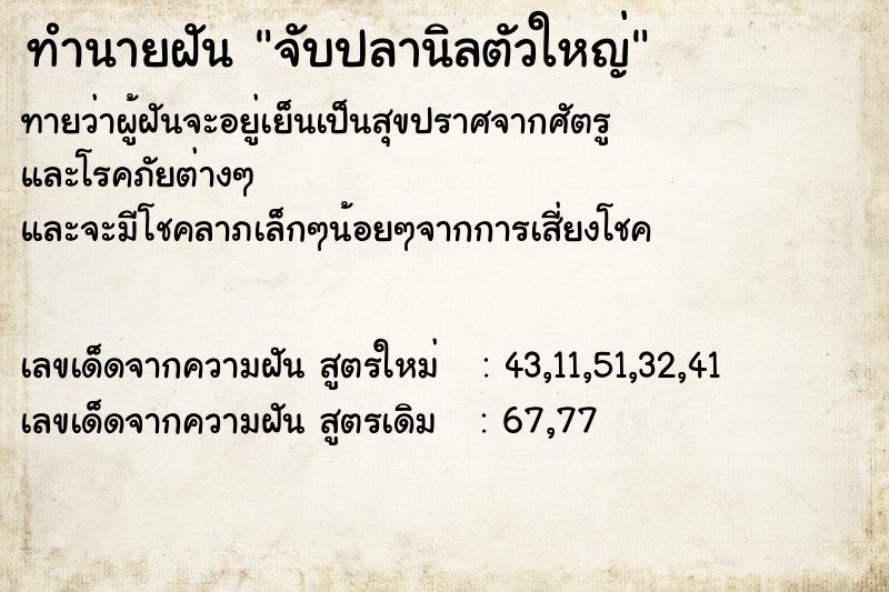 ทำนายฝันจับปลานิลตัวใหญ่ ทำนายฝันทำนายฝันจับปลานิลตัวใหญ่