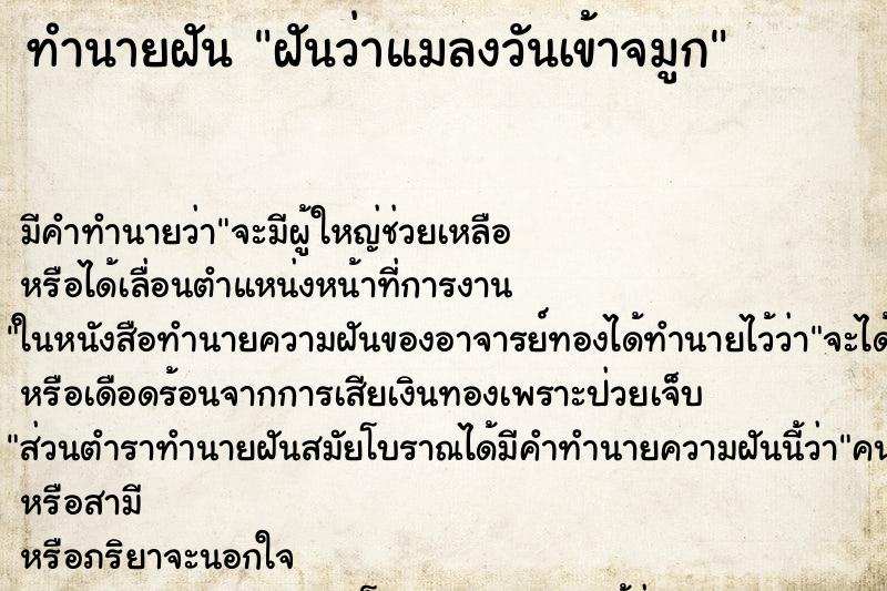 ทำนายฝัน ฝันว่าแมลงวันเข้าจมูก ตำราโบราณ แม่นที่สุดในโลก