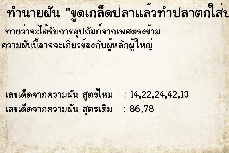 ทำนายฝัน ขูดเกล็ดปลาแล้วทำปลาตกใส่ปากแมว