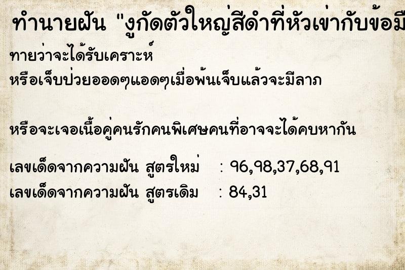 ทำนายฝันงูกัดตัวใหญ่สีดำที่หัวเข่ากับข้อมือ ทำนายฝันทำนายฝันงูกัดตัวใหญ่สีดำที่หัวเข่ากับข้อมือ