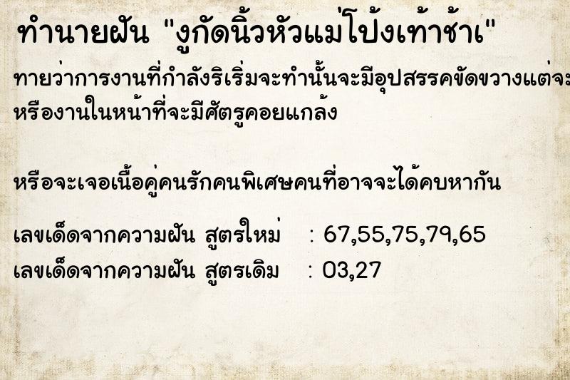 ทำนายฝันงูกัดนิ้วหัวแม่โป้งเท้าช้าà ทำนายฝันทำนายฝันงูกัดนิ้วหัวแม่โป้งเท้าช้าà