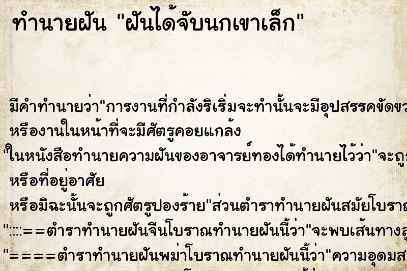ทำนายฝันฝันได้จับนกเขาเล็ก ทำนายฝันทำนายฝันฝันได้จับนกเขาเล็ก