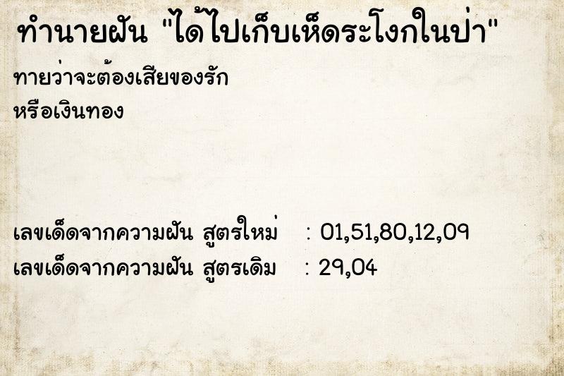 ทำนายฝันได้ไปเก็บเห็ดระโงกในป่า ทำนายฝันทำนายฝันได้ไปเก็บเห็ดระโงกในป่า