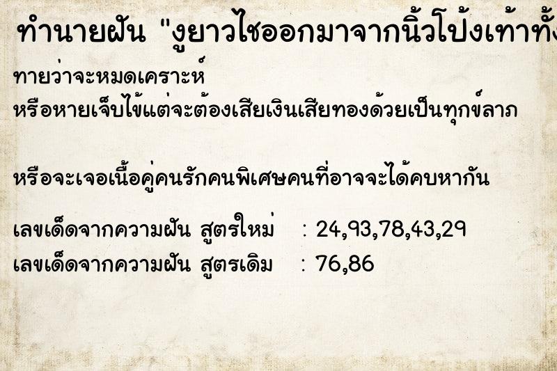 ทำนายฝันทำนายฝันงูยาวไชออกมาจากนิ้วโป้งเท้าทั้งสองข้าง